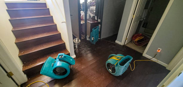 Best Sewage cleanup and water damage restoration  in Salisbury, NY