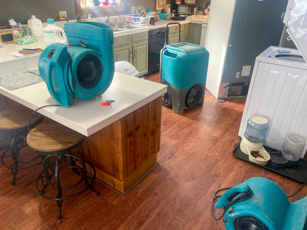 Best Water damage restoration near me  in Salisbury, NY