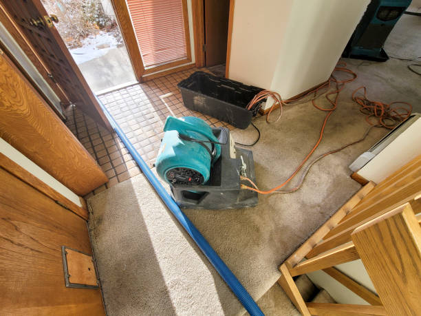 Best Residential water damage restoration  in Salisbury, NY