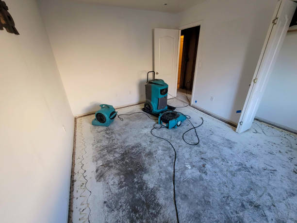 Best Ceiling water damage repair  in Salisbury, NY