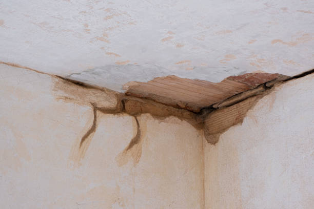 Best Water damage restoration process  in Salisbury, NY
