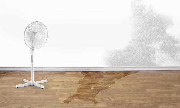 Best Commercial water damage restoration  in Salisbury, NY