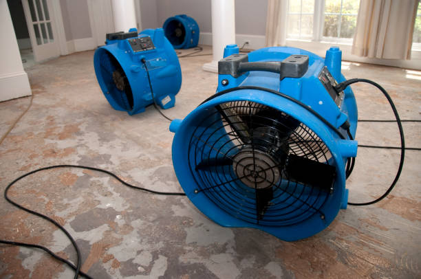 Best Mold removal after water damage  in Salisbury, NY