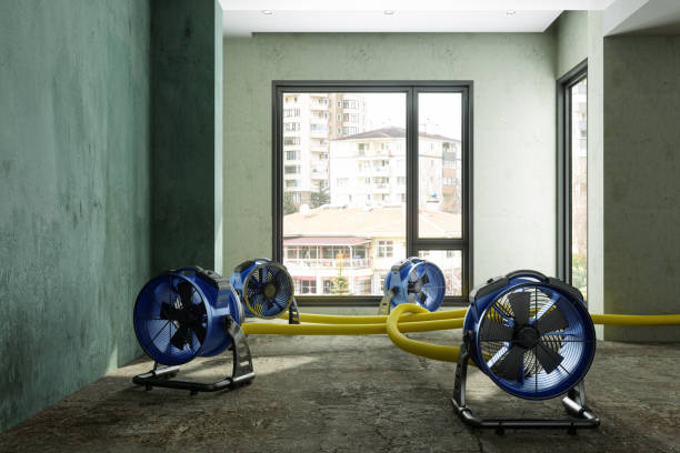 Best 24/7 water damage repair  in Salisbury, NY