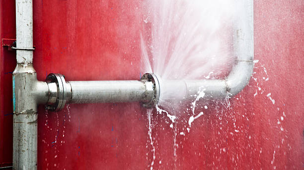 Best Professional water damage repair  in Salisbury, NY